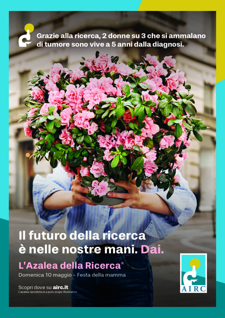 L’azalea della ricerca di Fondazione AIRC in 4.000 piazze per la salute delle donne